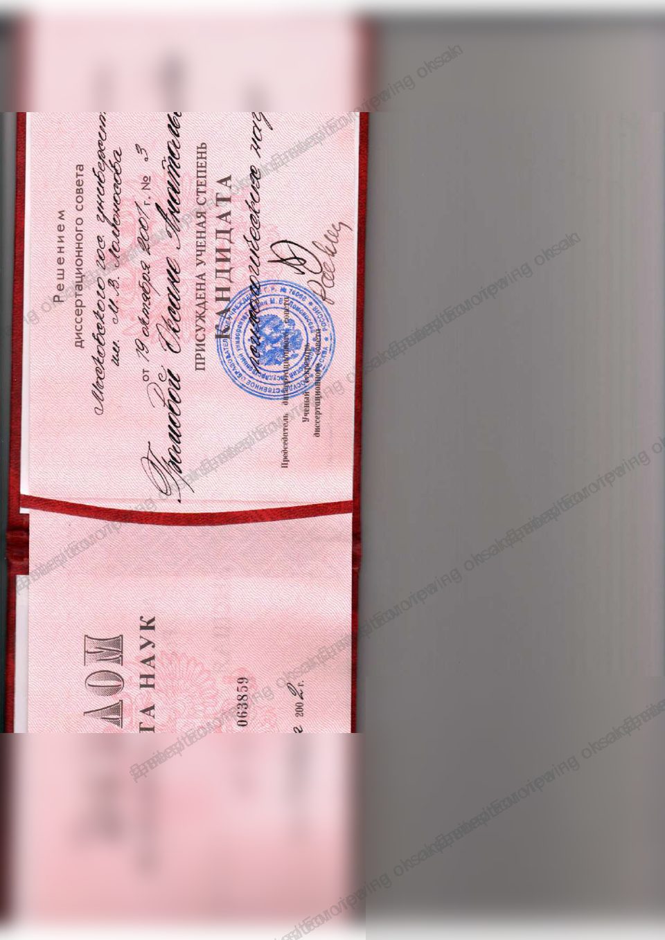 Preview of PhD diploma from MSU